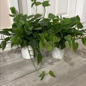 Set of 2 Threshold  faux plant Lush Greenery in White Planter